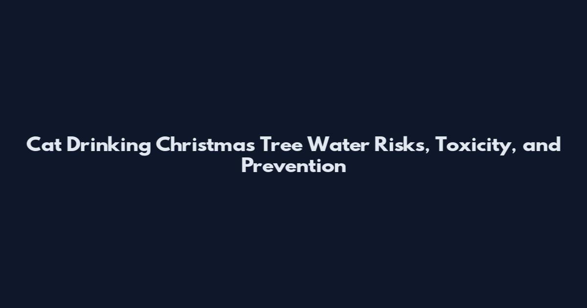 Cat Drinking Christmas Tree Water Risks, Toxicity, and Prevention