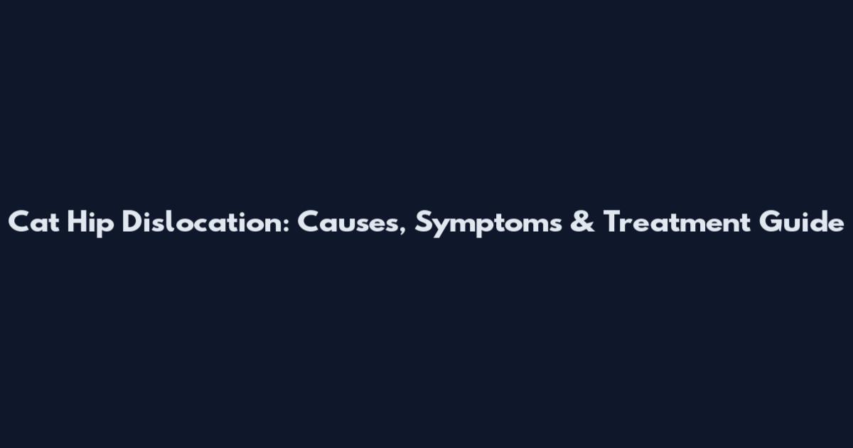 Cat Hip Dislocation: Causes, Symptoms & Treatment Guide