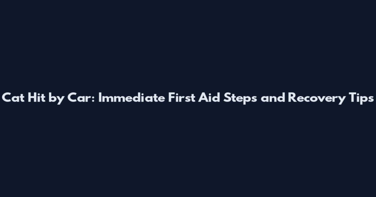 Cat Hit by Car: Immediate First Aid Steps and Recovery Tips