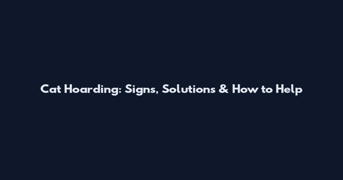 Cat Hoarding: Signs, Solutions & How to Help