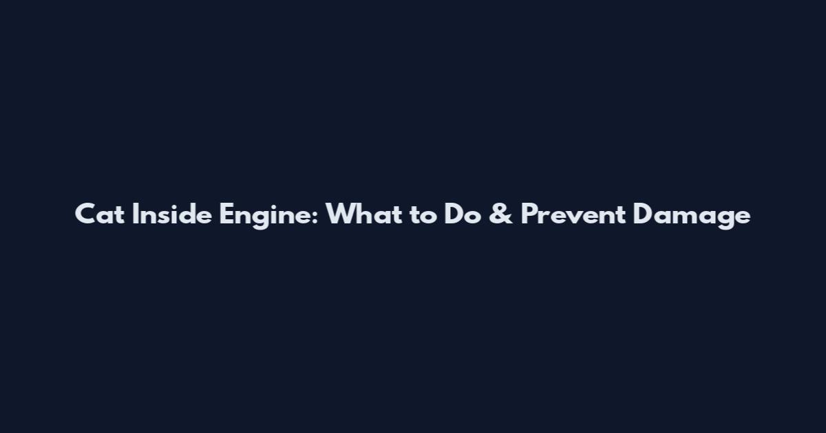 Cat Inside Engine: What to Do & Prevent Damage