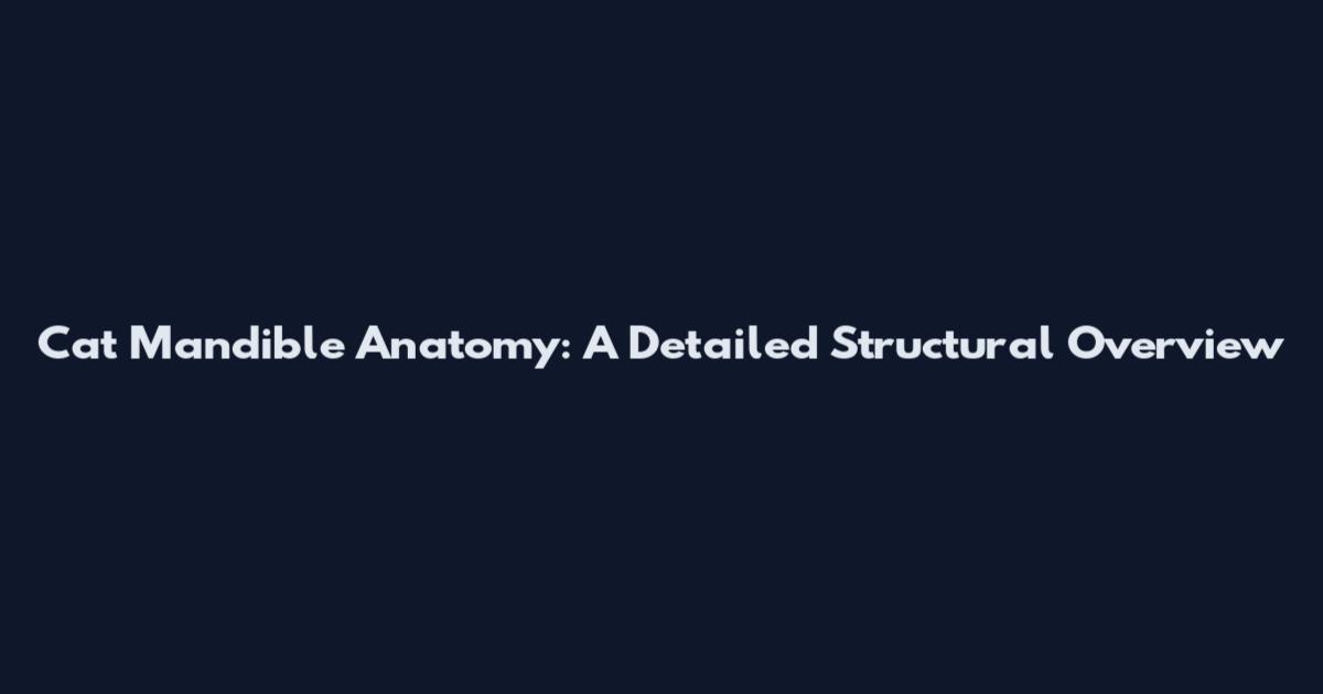 Cat Mandible Anatomy: A Detailed Structural Overview