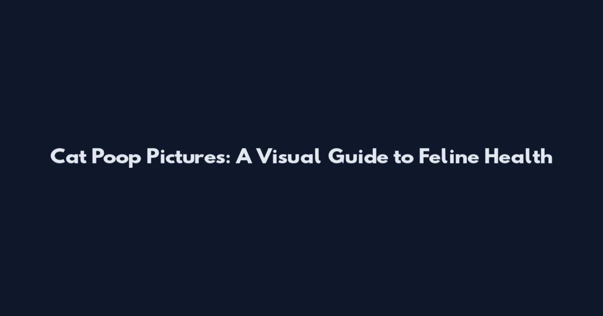 Cat Poop Pictures: A Visual Guide to Feline Health