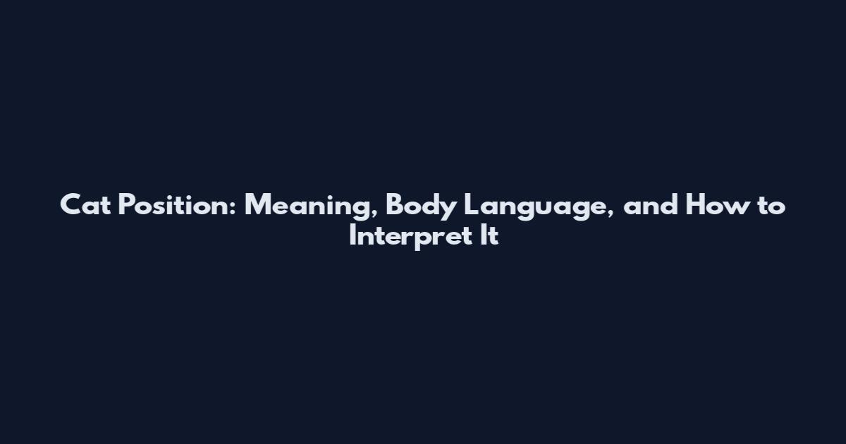 Cat Position: Meaning, Body Language, and How to Interpret It
