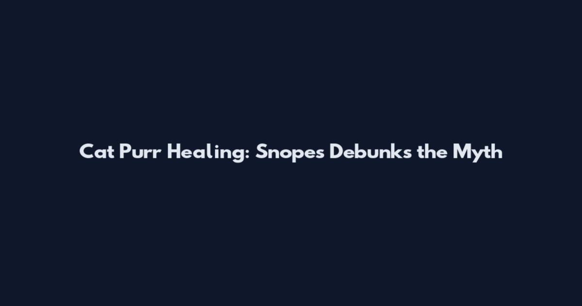 Cat Purr Healing: Snopes Debunks the Myth