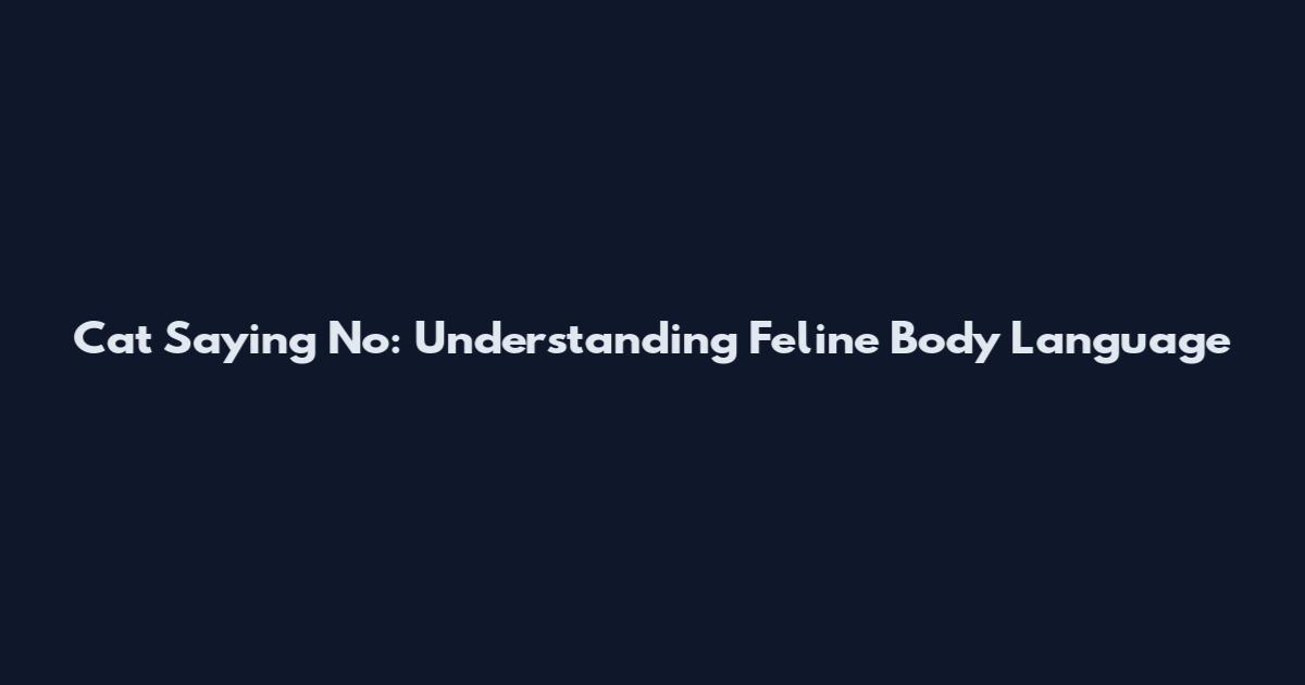 Cat Saying No: Understanding Feline Body Language