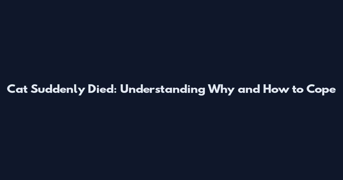 Cat Suddenly Died: Understanding Why and How to Cope