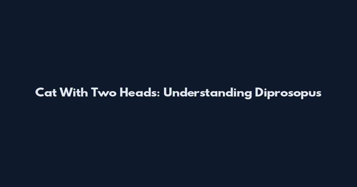 Cat With Two Heads: Understanding Diprosopus