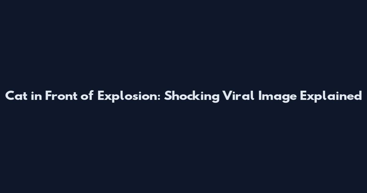 Cat in Front of Explosion: Shocking Viral Image Explained