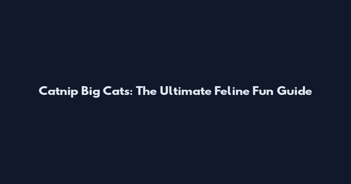 Catnip Big Cats: The Ultimate Feline Fun Guide