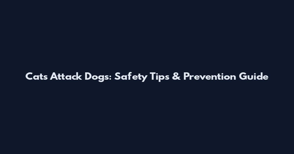 Cats Attack Dogs: Safety Tips & Prevention Guide