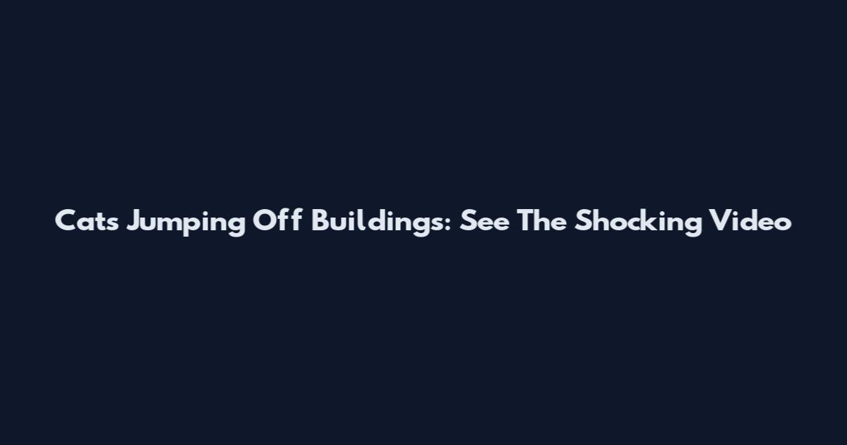 Cats Jumping Off Buildings: See The Shocking Video
