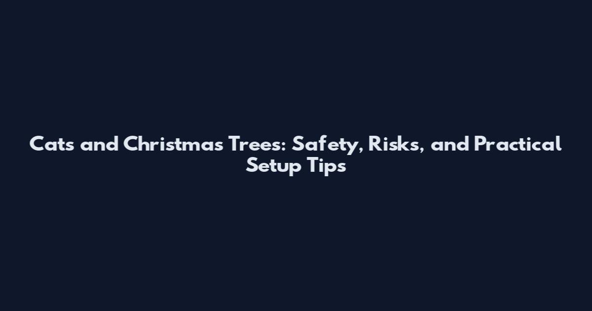 Cats and Christmas Trees: Safety, Risks, and Practical Setup Tips