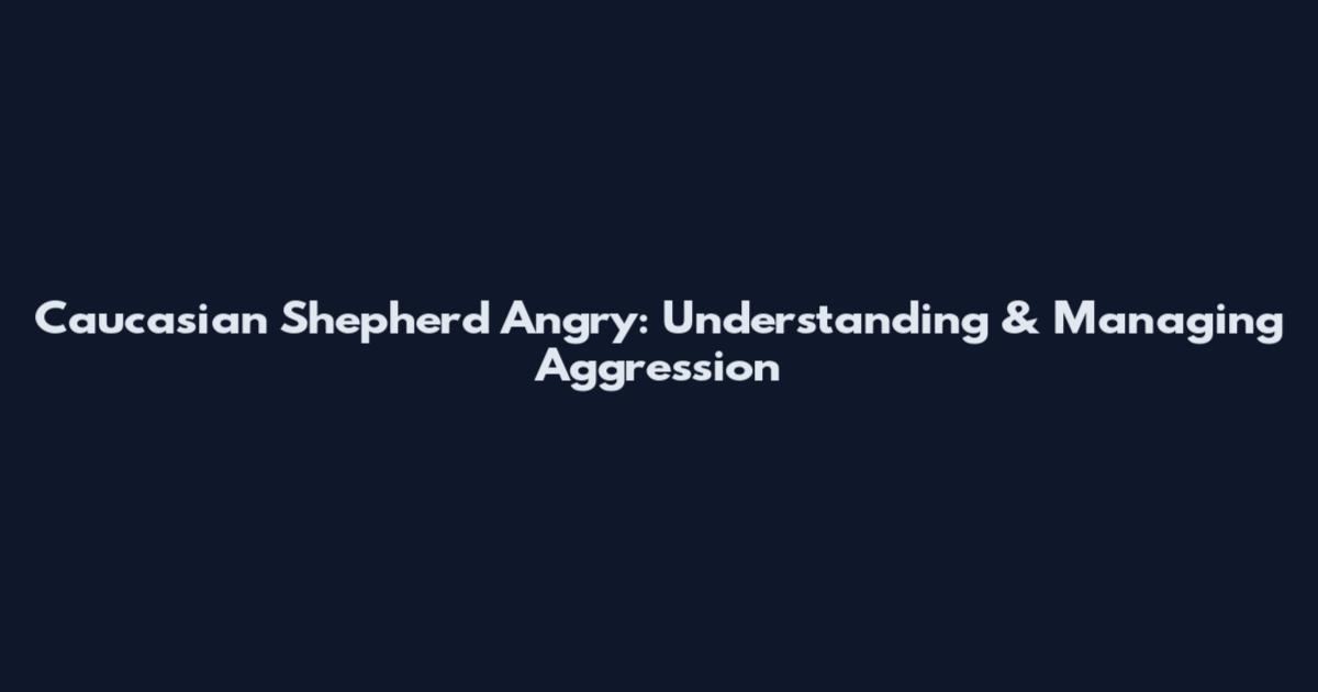 Caucasian Shepherd Angry: Understanding & Managing Aggression