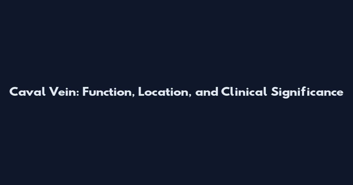 Caval Vein: Function, Location, and Clinical Significance