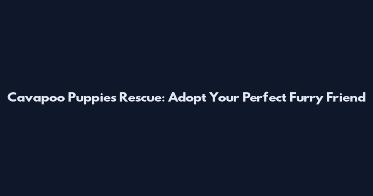 Cavapoo Puppies Rescue: Adopt Your Perfect Furry Friend