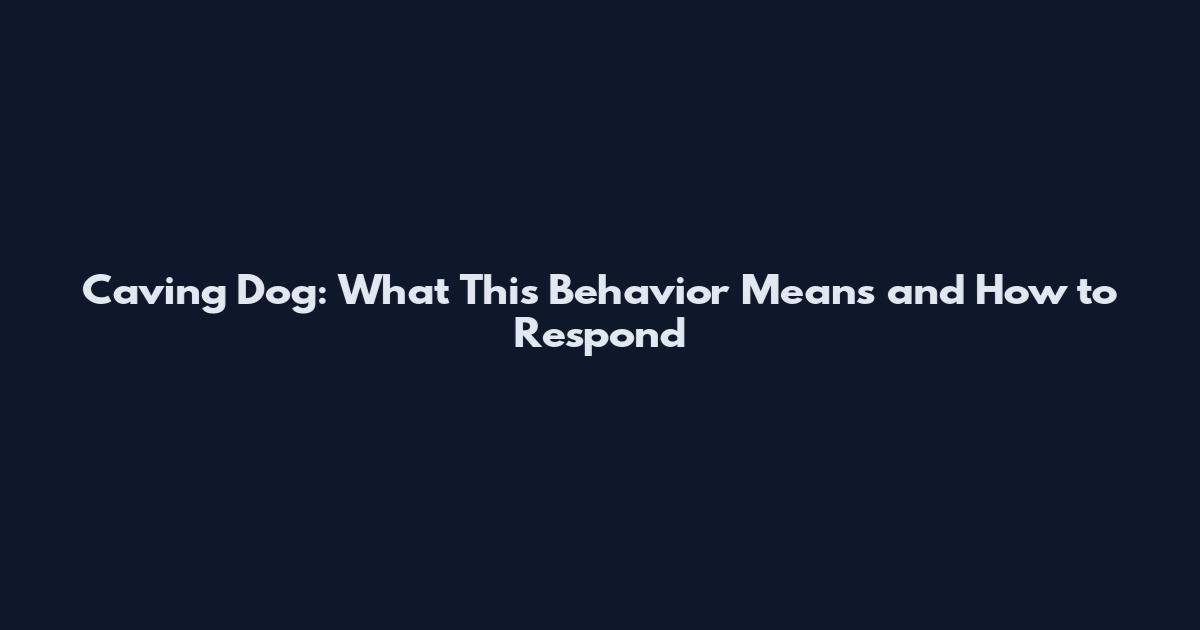 Caving Dog: What This Behavior Means and How to Respond