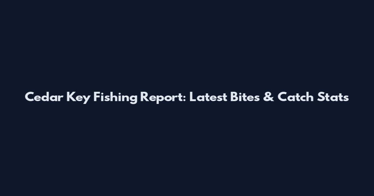 Cedar Key Fishing Report: Latest Bites & Catch Stats
