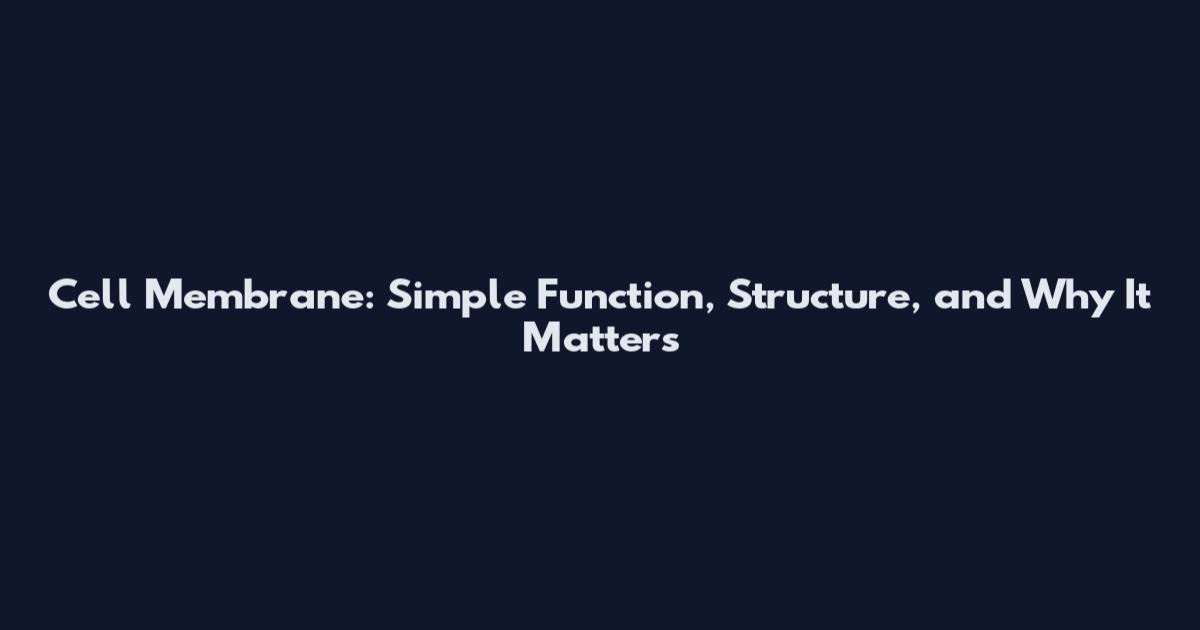Cell Membrane: Simple Function, Structure, and Why It Matters