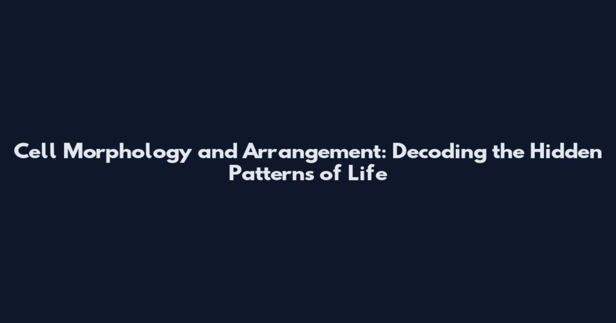 Cell Morphology and Arrangement: Decoding the Hidden Patterns of Life