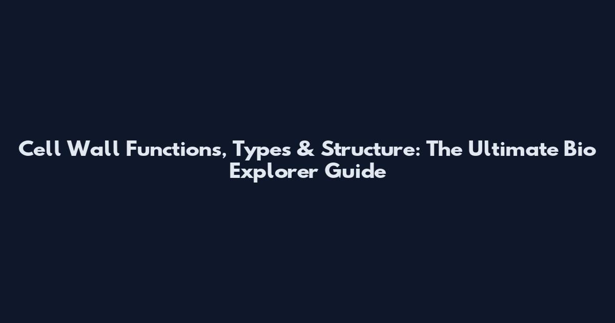 Cell Wall Functions, Types & Structure: The Ultimate Bio Explorer Guide