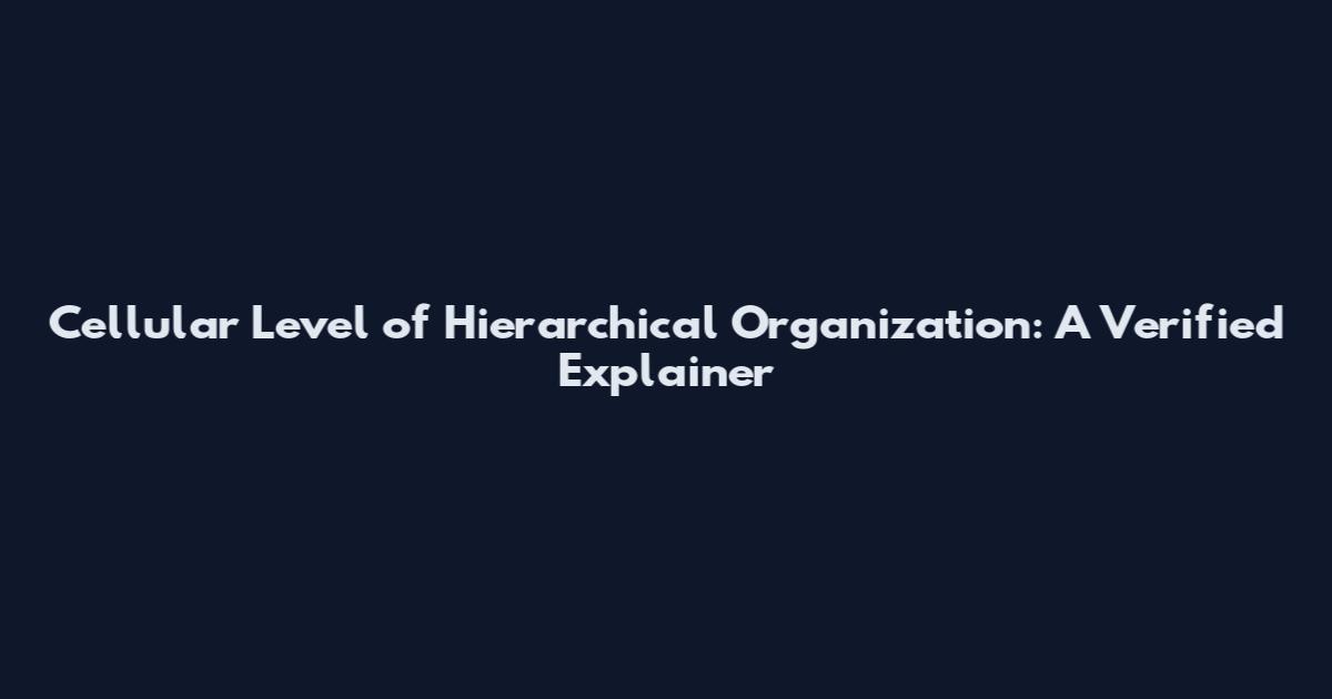 Cellular Level of Hierarchical Organization: A Verified Explainer