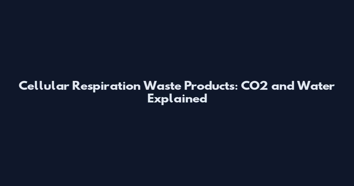 Cellular Respiration Waste Products: CO2 and Water Explained