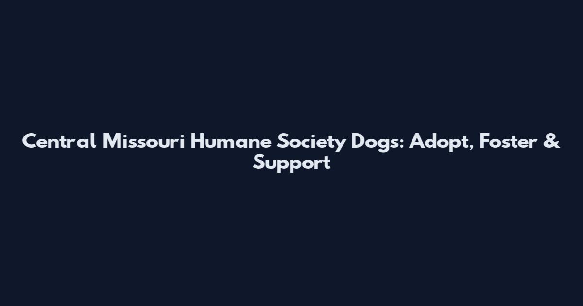 Central Missouri Humane Society Dogs: Adopt, Foster & Support