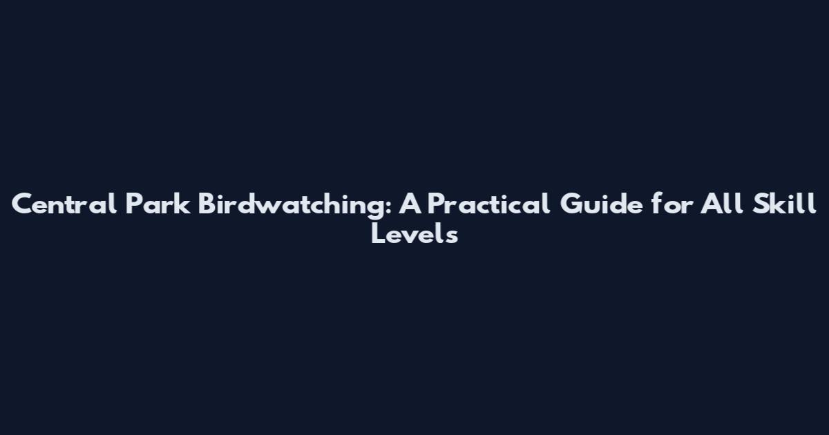 Central Park Birdwatching: A Practical Guide for All Skill Levels