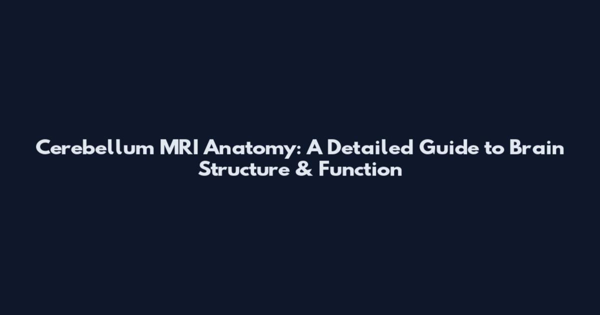 Cerebellum MRI Anatomy: A Detailed Guide to Brain Structure & Function