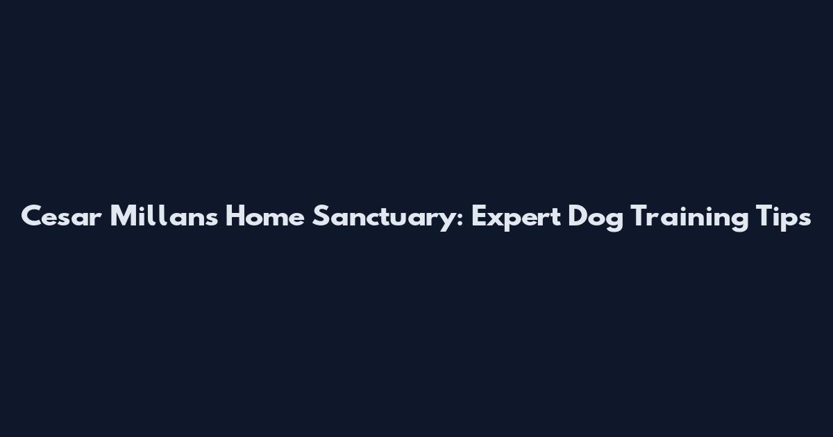 Cesar Millan's Home Sanctuary: Expert Dog Training Tips