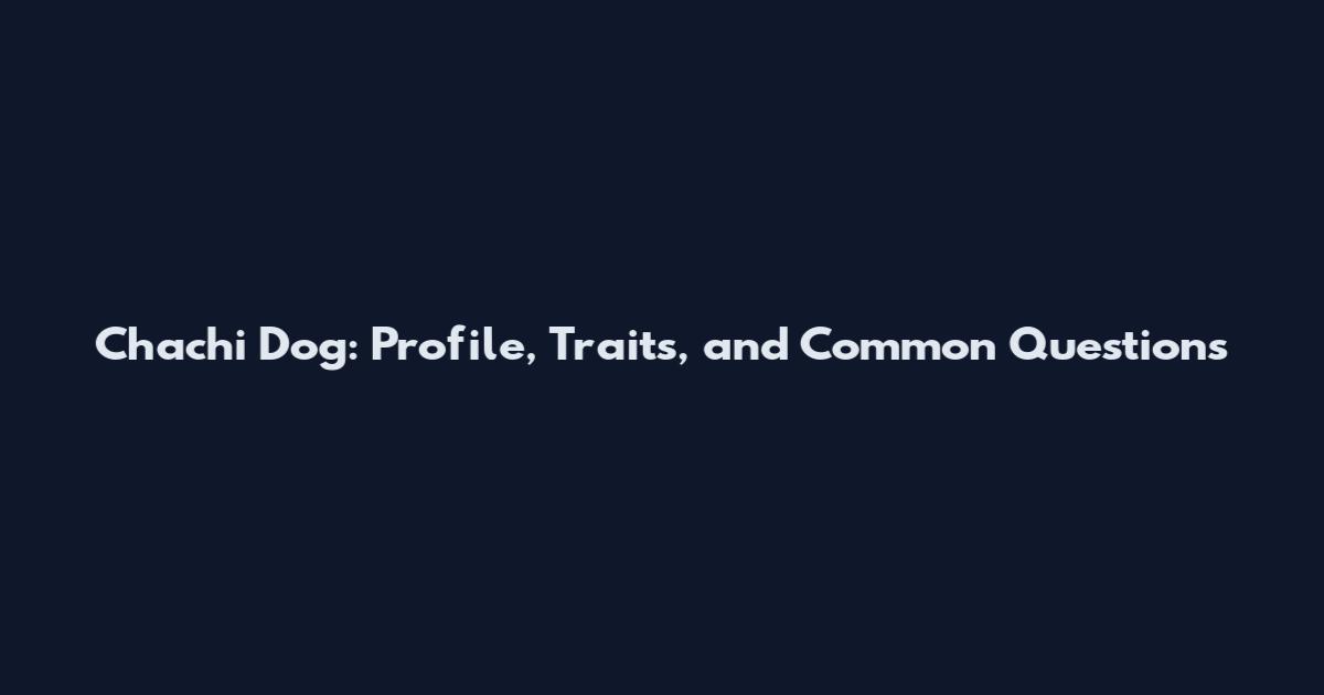 Chachi Dog: Profile, Traits, and Common Questions