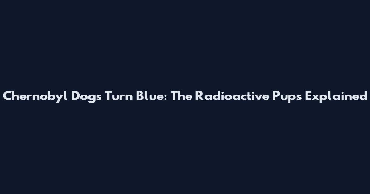 Chernobyl Dogs Turn Blue: The Radioactive Pups Explained