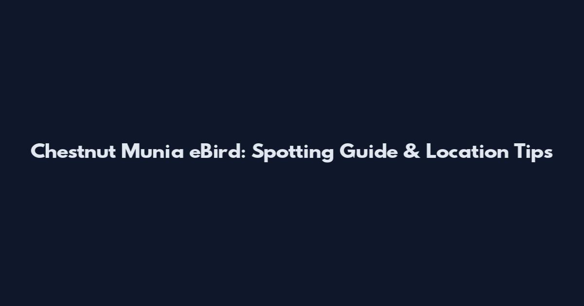 Chestnut Munia eBird: Spotting Guide & Location Tips