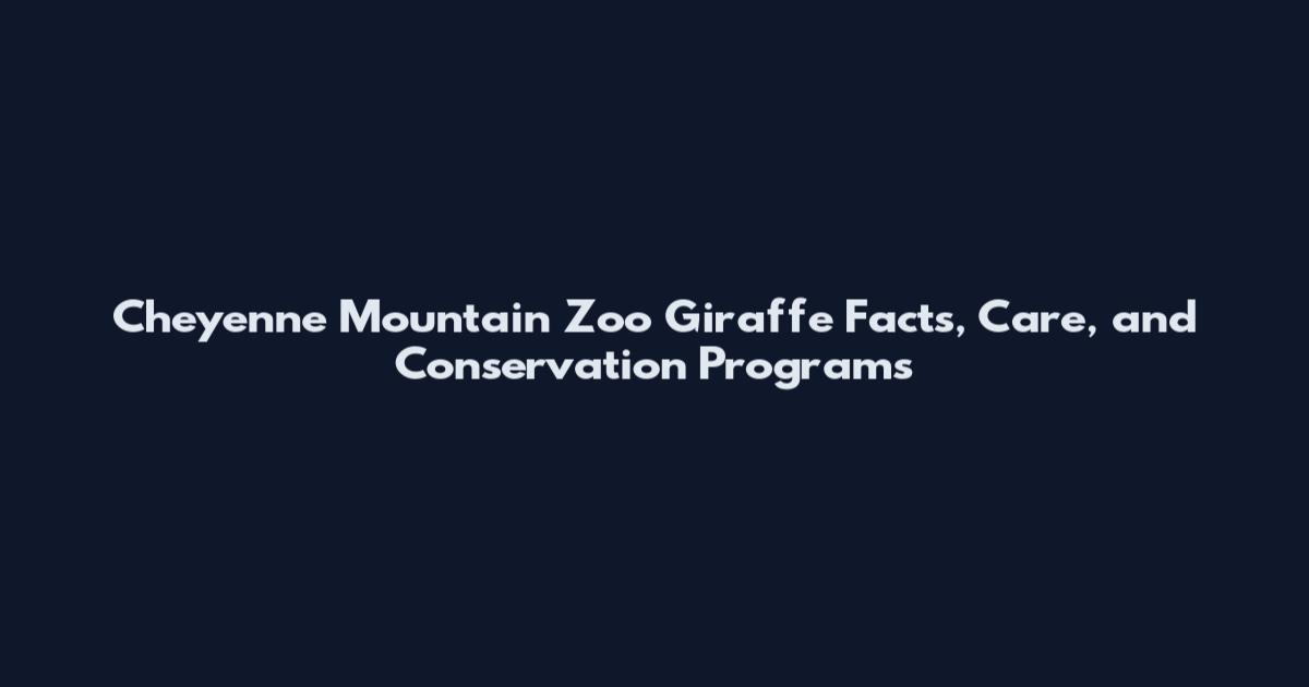 Cheyenne Mountain Zoo Giraffe Facts, Care, and Conservation Programs