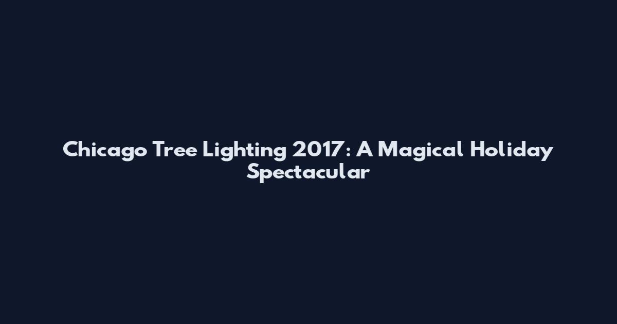 Chicago Tree Lighting 2017: A Magical Holiday Spectacular