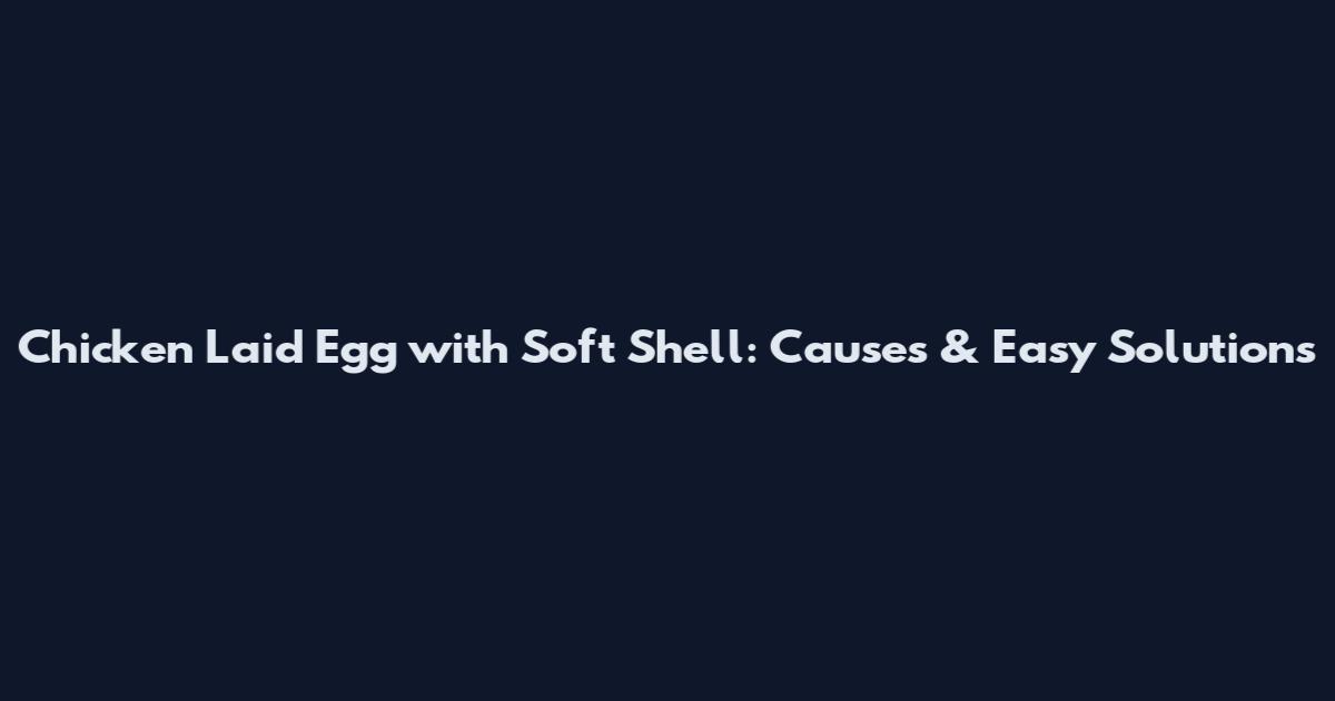 Chicken Laid Egg with Soft Shell: Causes & Easy Solutions