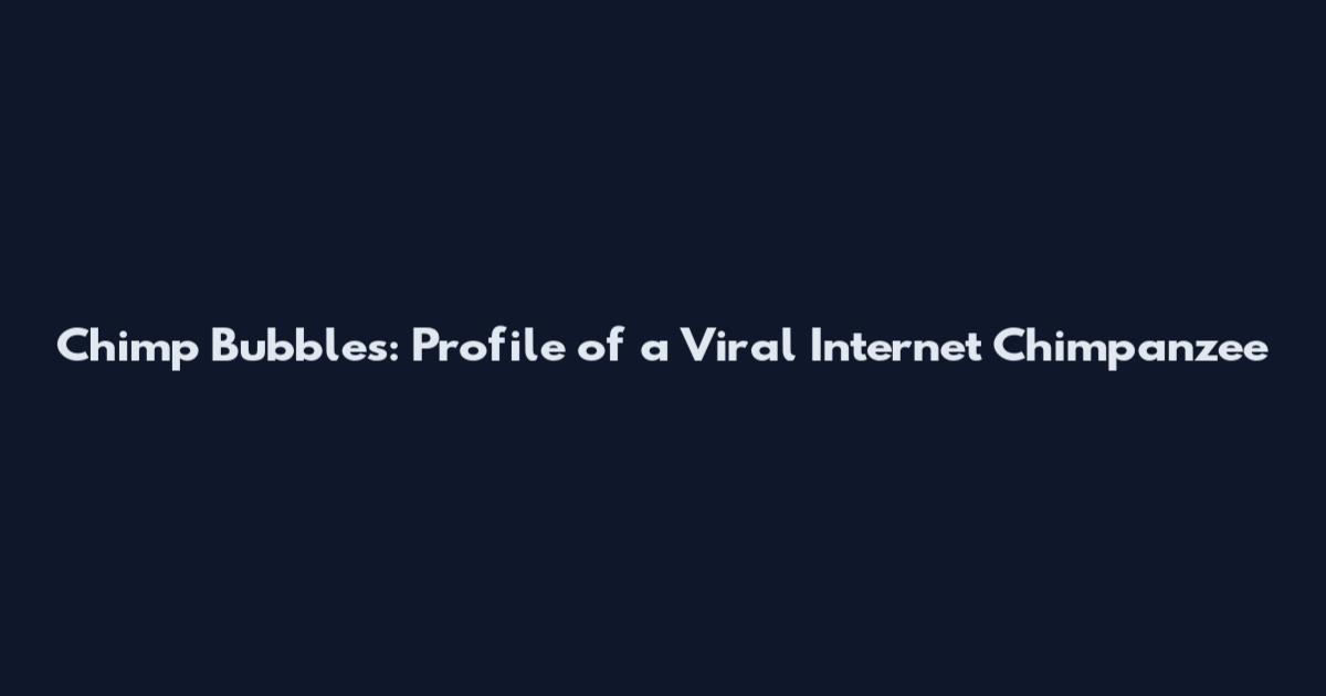 Chimp Bubbles: Profile of a Viral Internet Chimpanzee