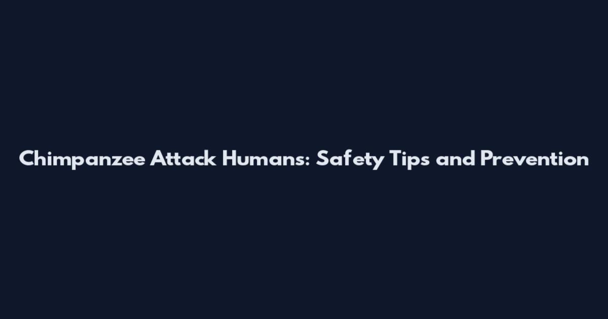 Chimpanzee Attack Humans: Safety Tips and Prevention