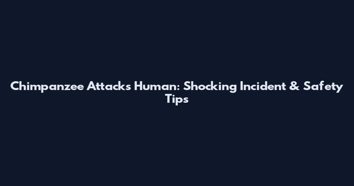 Chimpanzee Attacks Human: Shocking Incident & Safety Tips