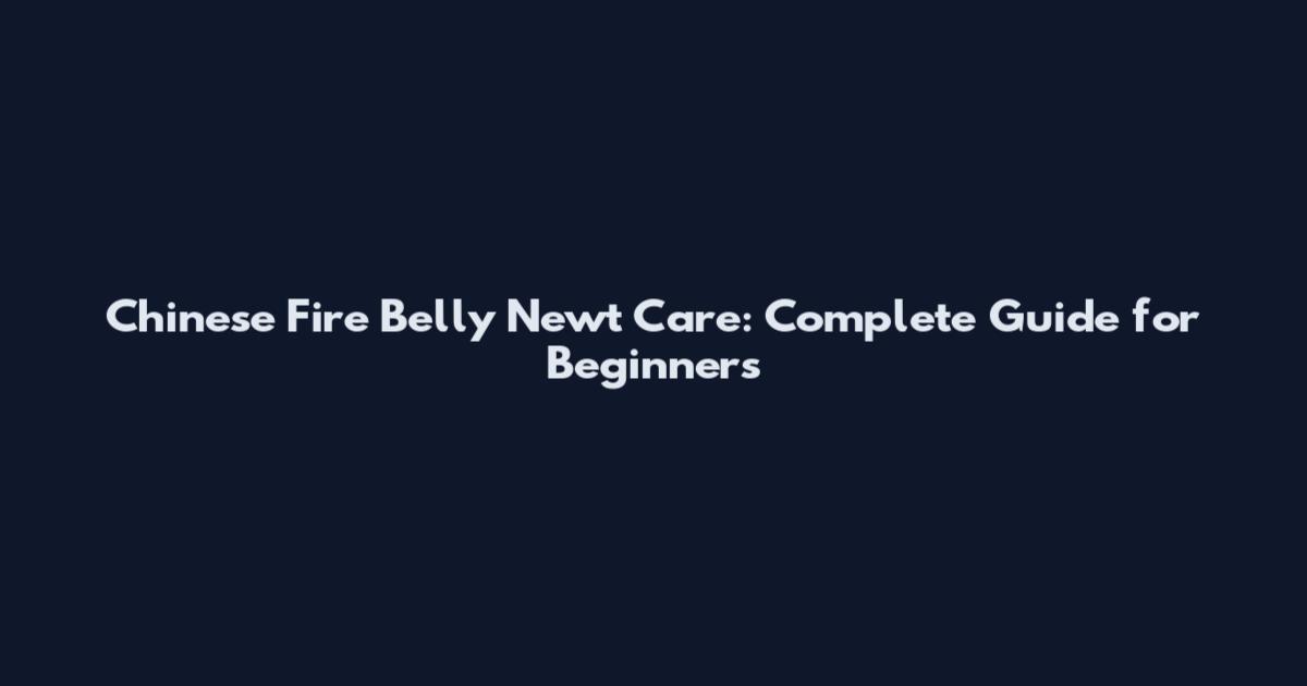Chinese Fire Belly Newt Care: Complete Guide for Beginners