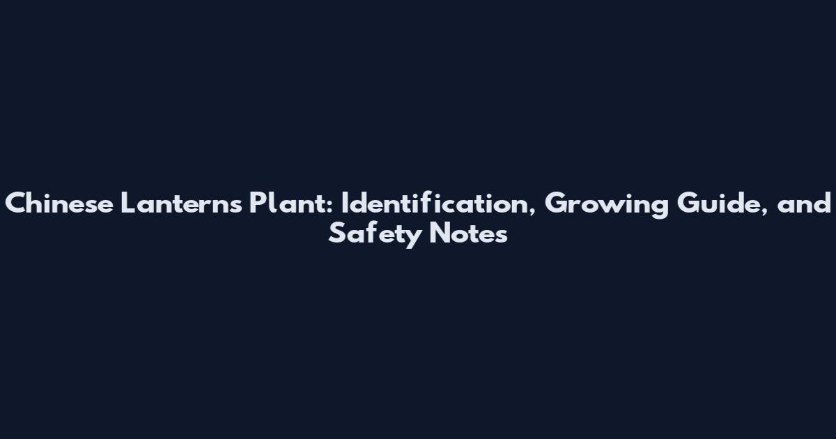 Chinese Lanterns Plant: Identification, Growing Guide, and Safety Notes