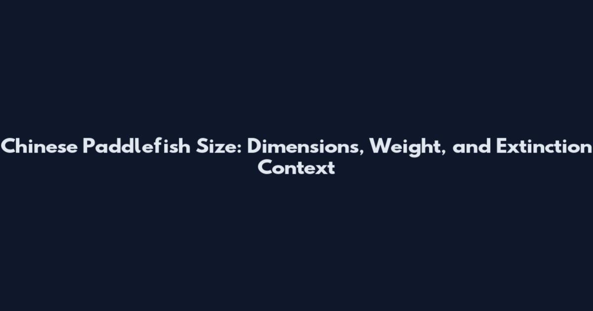 Chinese Paddlefish Size: Dimensions, Weight, and Extinction Context