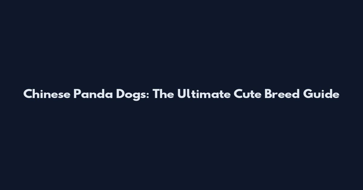 Chinese Panda Dogs: The Ultimate Cute Breed Guide