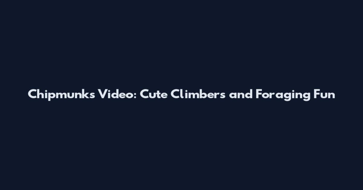 Chipmunks Video: Cute Climbers and Foraging Fun