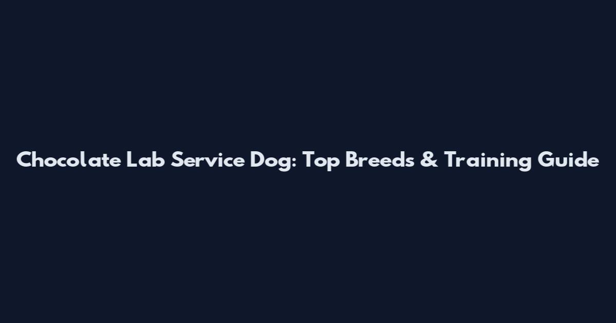 Chocolate Lab Service Dog: Top Breeds & Training Guide