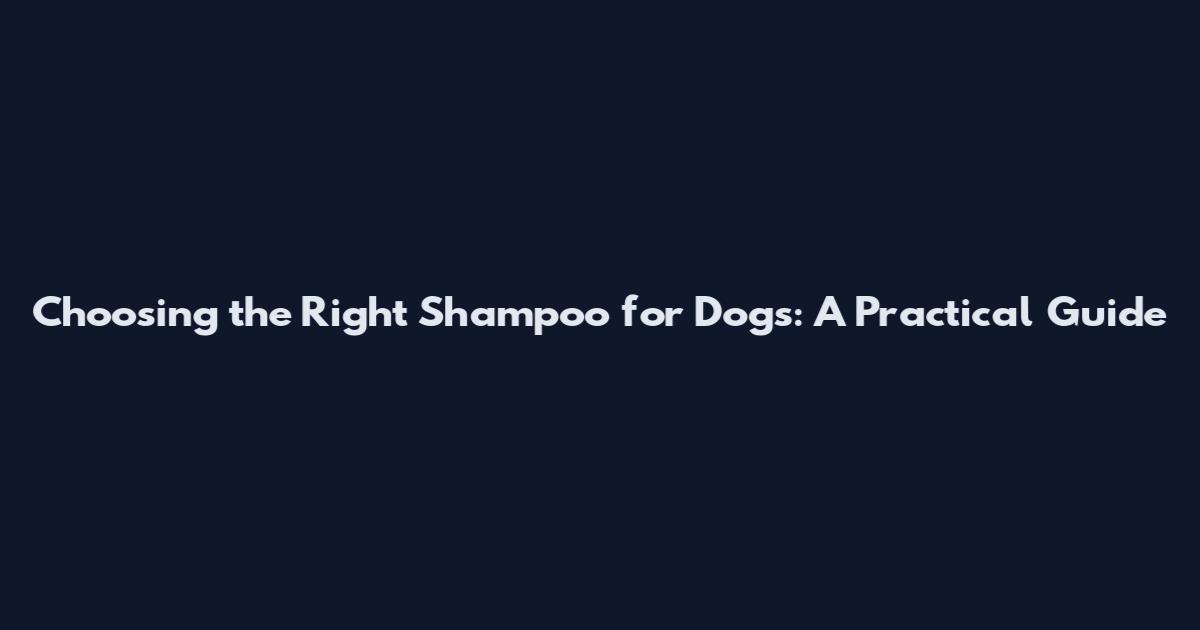 Choosing the Right Shampoo for Dogs: A Practical Guide