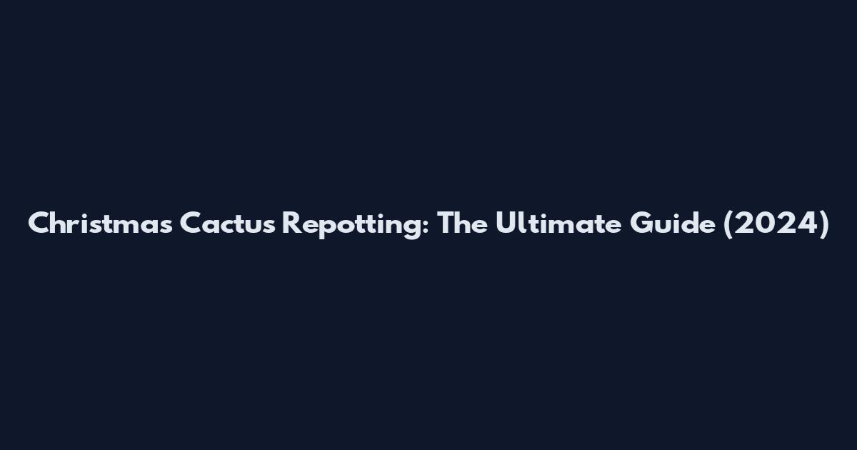 Christmas Cactus Repotting: The Ultimate Guide (2024)