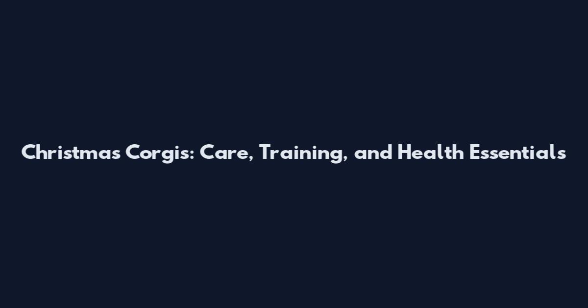 Christmas Corgis: Care, Training, and Health Essentials