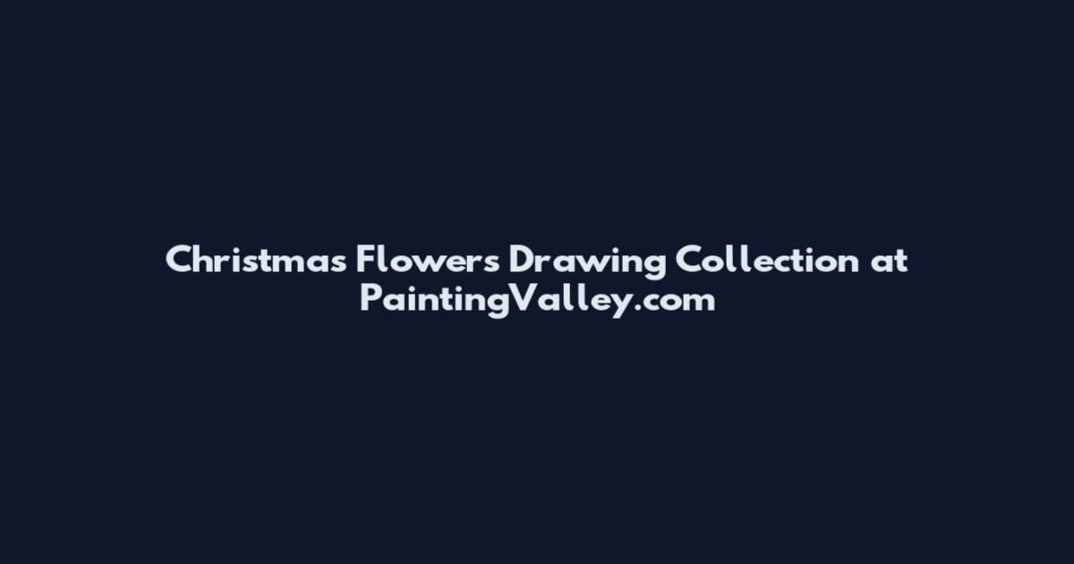Christmas Flowers Drawing Collection at PaintingValley.com